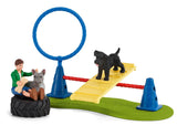 #42536 Puppy Agility Training Set