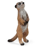 #42595 Meerkat Hangout